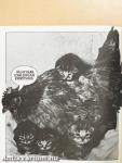Cat Chat