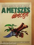 A metszés ábécéje