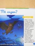 Éjszakai állatok