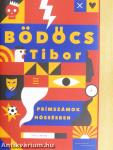 Prímszámok hóesésben