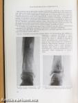 Az orthopaedia tankönyve