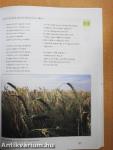 A Könyvek Könyve