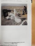 Archaeological Expeditions in Mongolia