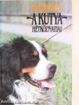 A kutya hétköznapjai