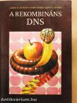 A rekombináns DNS