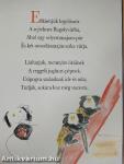 Téli séta az Állatkertben