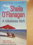 A tökéletes férfi