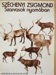 Szarvasok nyomában