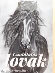 Csodálatos lovak