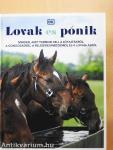 Lovak és pónik