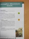 Bibliaismeret