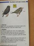 Find 50 Birds