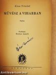Művész a viharban