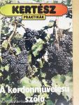 A kordonművelésű szőlő