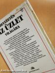 Bevezetés az üzlet világába