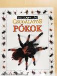Csudálatos pókok