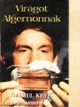 Virágot Algernonnak