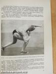 Sportanatómia