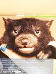 ZooBorns
