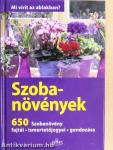 Szobanövények