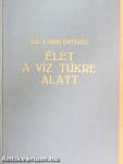 Élet a víz tükre alatt