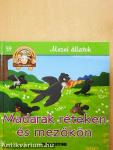 Madarak réteken és mezőkön
