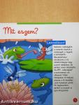 A tó élővilága