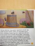 A tücsök és a kabóca