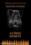 Az öreg remete