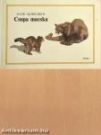 Csupa macska