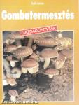 Gombatermesztés