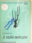 A szőlő metszése