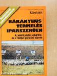 Bárányhústermelés iparszerűen