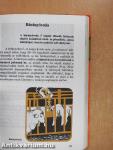 Bárányhústermelés iparszerűen