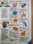 Képes Usborne enciklopédia