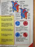 Képes Usborne enciklopédia