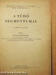 A tüdő segmentumai