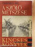 A szőlő metszése