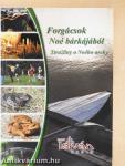 Forgácsok Noé bárkájából