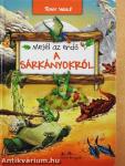 Mesél az erdő a sárkányokról