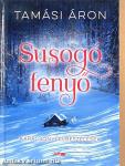 Susogó fenyő