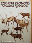 Szarvasok nyomában