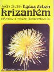 Egész évben krizantém