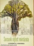 Sorsunk rejtett mintázata
