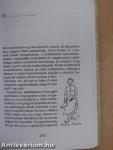 A kabaré regénye