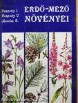 Erdő-mező növényei