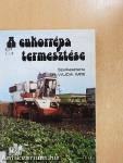 A cukorrépa termesztése