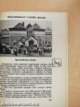 Orosz nyelvkönyv II.