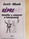 Képregén