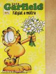 Fátylat a múltra